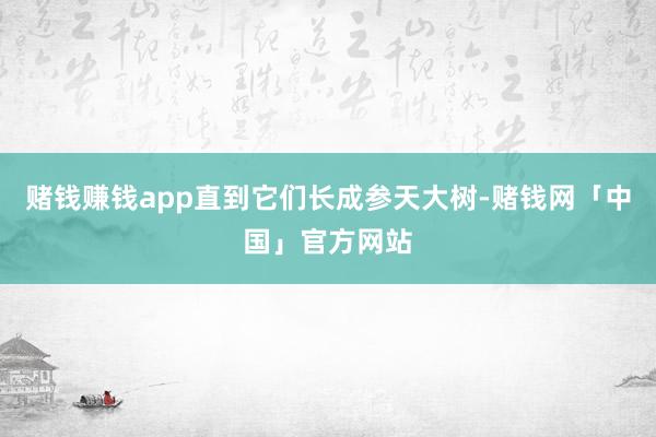 赌钱赚钱app直到它们长成参天大树-赌钱网「中国」官方网站