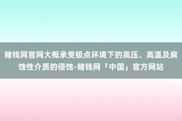 赌钱网官网大概承受极点环境下的高压、高温及腐蚀性介质的侵蚀-赌钱网「中国」官方网站