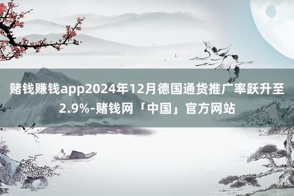 赌钱赚钱app2024年12月德国通货推广率跃升至2.9%-赌钱网「中国」官方网站
