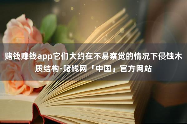 赌钱赚钱app它们大约在不易察觉的情况下侵蚀木质结构-赌钱网「中国」官方网站